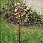 Marmor Lenter Figuren und Bronzen